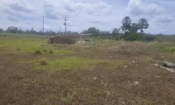 Imagem 5: Vendo Sitio em Vera Cruz