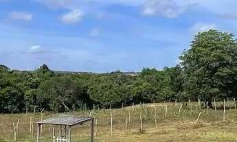 Imagem 5: VENDE-SE OU TROCA-SE SÍTIO EM SIBALDE - JAPARATUBA/SE