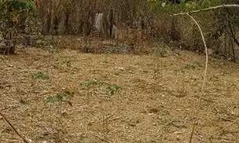 Imagem: Vendo um lote em Brazlândia DF