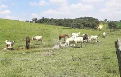 Imagem 2: Área de Terra à venda em Área Rural de Monte Mor, Monte Mor - SP