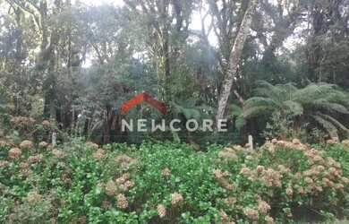 Imagem 6: Lote em Rua 21 Alpes - Alpes - São Francisco de Paula/RS