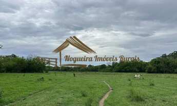 Imagem 3: Sitio com 14 alqueires na região de Porangaba/SP