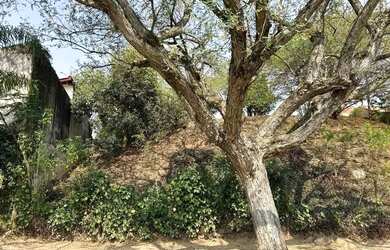 Imagem 5: Terreno à venda em Campinas, Loteamento Caminhos de São Conrado (Sousas), com 638 m²