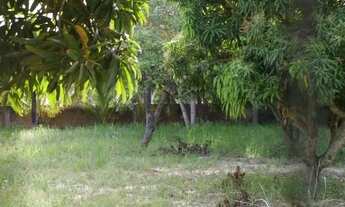 Imagem 4: Lote a venda no loteamento Mar azul - Paripueira - AL