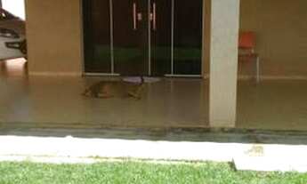 Imagem 2: Tranquilidade numa Casa Aconchegante!!