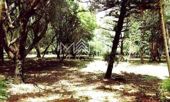 Imagem 2: Venda de Rural / Área na cidade de Araraquara