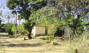 Imagem 6: Sítio em Pirangi/SP 8,3 Alqueires