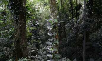 Imagem 5: Fazenda/Sítio/Chácara para venda com 200 metros quadrados com 3 quartos