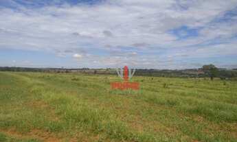 Imagem 3: Fazenda à venda 53 Alqueires por R$ 6.890.000 - Sandovalina/São Paulo