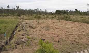 Imagem 3: Lote/Terreno para venda possui 1050 metros quadrados em Vila Ipiranga - Mogi das Cruzes
