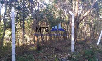 Imagem 3: Terreno com 2.500m² - Chácara Santo Amaro (Colônia) São Paulo/SP