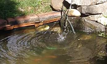 Imagem 3: Fazenda/Sítio/Chácara para venda com 1000 m² em Condomínio Bem Te Vi com 1 quarto - Piraci