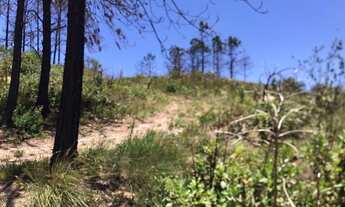 Imagem 4: Lote de 2.500 m² para construir