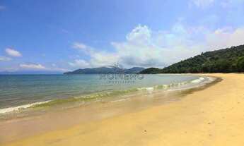 Imagem 3: Terreno, Praia do Bonete, Ubatuba - R$ 750 mil, Cod: 1398