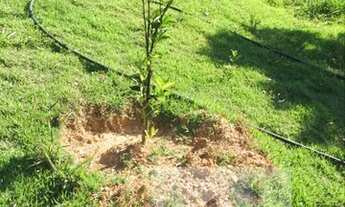 Imagem 6: ** Belíssimo terreno **