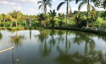 Imagem 4: Chácara para venda possui 20.000 metros quadrados com 4 quartos