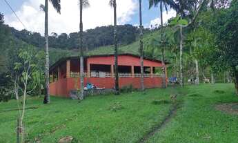 Imagem: Sítio 16 Alqueires (Willian Ricardo