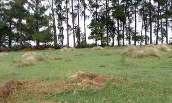 Imagem 7: Lote/Terreno para venda com 1000 metros quadrados em Centro - Igaratá - SP