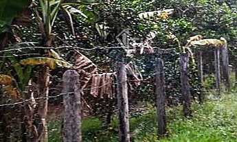 Imagem 6: Terreno em Franca