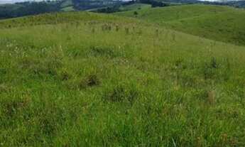 Imagem 3: TERRENO COMERCIAL em CAPÃO BONITO - SP, VILA SANTA ISABEL