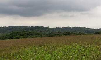 Imagem 3: Sítio a venda possui 128.000 metros quadrados, 02 casas e 01 lago
