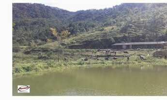 Imagem 7: Fazenda km 51 Tamoios