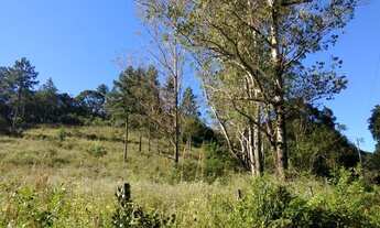 Imagem 4: VENDO CHACARA DE 40.000M² COM ESCRITURA NO EMBU GUAÇU DIVISA COM JUQUITIBA (4153