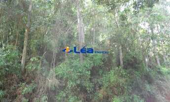 Imagem 5: AREA INDUSTRIAL em BIRITIBA MIRIM - SP, SITIO FAMILIA PRATES