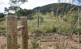 Imagem 5: FAZENDA COM 526HA, NA BEIRA DO ASFALTO, 155KM DE BRASILIA
