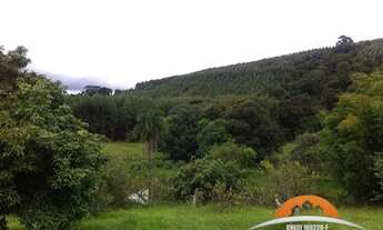 Imagem 3: Lindo sítio na beira de rodovia asfaltada, região de Guareí