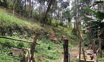 Imagem 2: Terreno em Juquitiba - SP com 7.503,33 m², a 3,5 km da Rodovia Regis Bettencourt