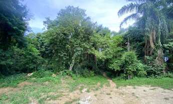 Imagem 4: Costeira espetacular com 15747 m² por R$ 4.800.000 - Flechas - Ilhabela/SP