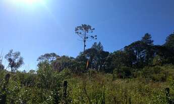Imagem 6: VENDO CHACARA DE 40.000M² COM ESCRITURA NO EMBU GUAÇU DIVISA COM JUQUITIBA (4153