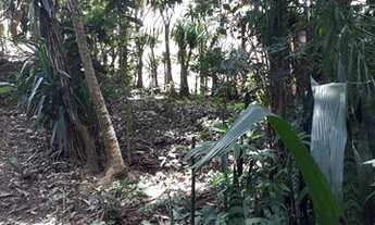 Imagem 6: Chacara em Campo Limpo Paulista