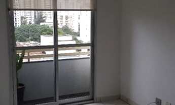 Imagem 2: SãO PAULO - Padrão - PINHEIROS