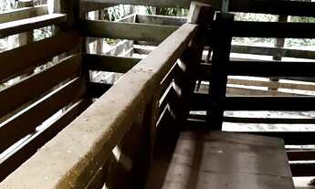 Imagem 7: SITIO FORMADO 10 ALQUEIRES EM PIEDADE SP