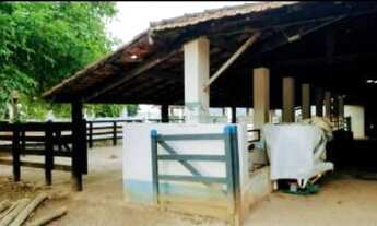 Imagem 6: Fazenda na pecuária na beira da Raposo Tavares