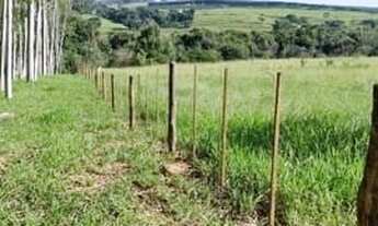 Imagem 3: Fazenda em Gália