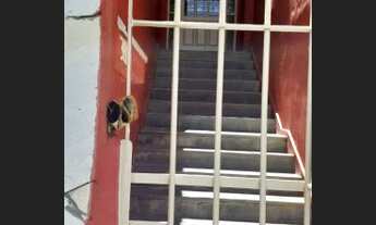 Imagem 5: JACAREí - Casa Padrão - Jardim das Indústrias