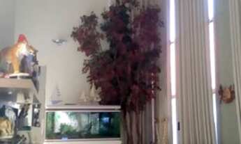 Imagem 3: Venda de Casas / Padrão na cidade de Araraquara