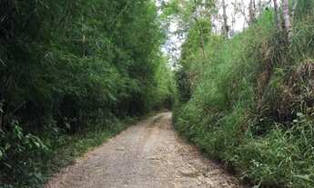 Imagem: 80 alqueires Miracatu SP. .leia o anuncio