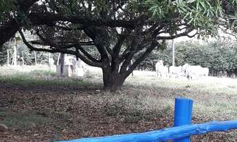 Imagem 3: REF. 336 SITIO DE 8 ALQUEIRES EXCELENTE LOCALIZAÇÃO