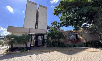 Imagem: PIRACICABA - Padrão - Campestre