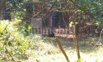 Imagem 2: TERRENO - OPORTUNIDADE