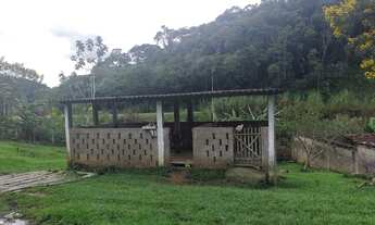 Imagem 6: Sítio 16 Alqueires (Willian Ricardo