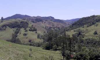 Imagem 5: Fazenda/Sítio/Chácara para venda com 290400 metros quadrados com 2 quartos