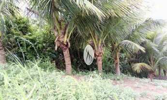 Imagem 4: Terreno com vista excepcional!