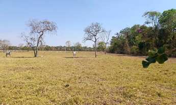 Imagem 3: Fazenda em Dois Irmãos