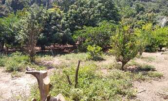 Imagem 6: Fazenda/Sítio/Chácara para venda na castelo branco km 68