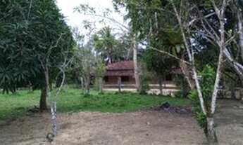 Imagem 14: Fazenda para Venda em Porto Seguro, arraial d ajuda